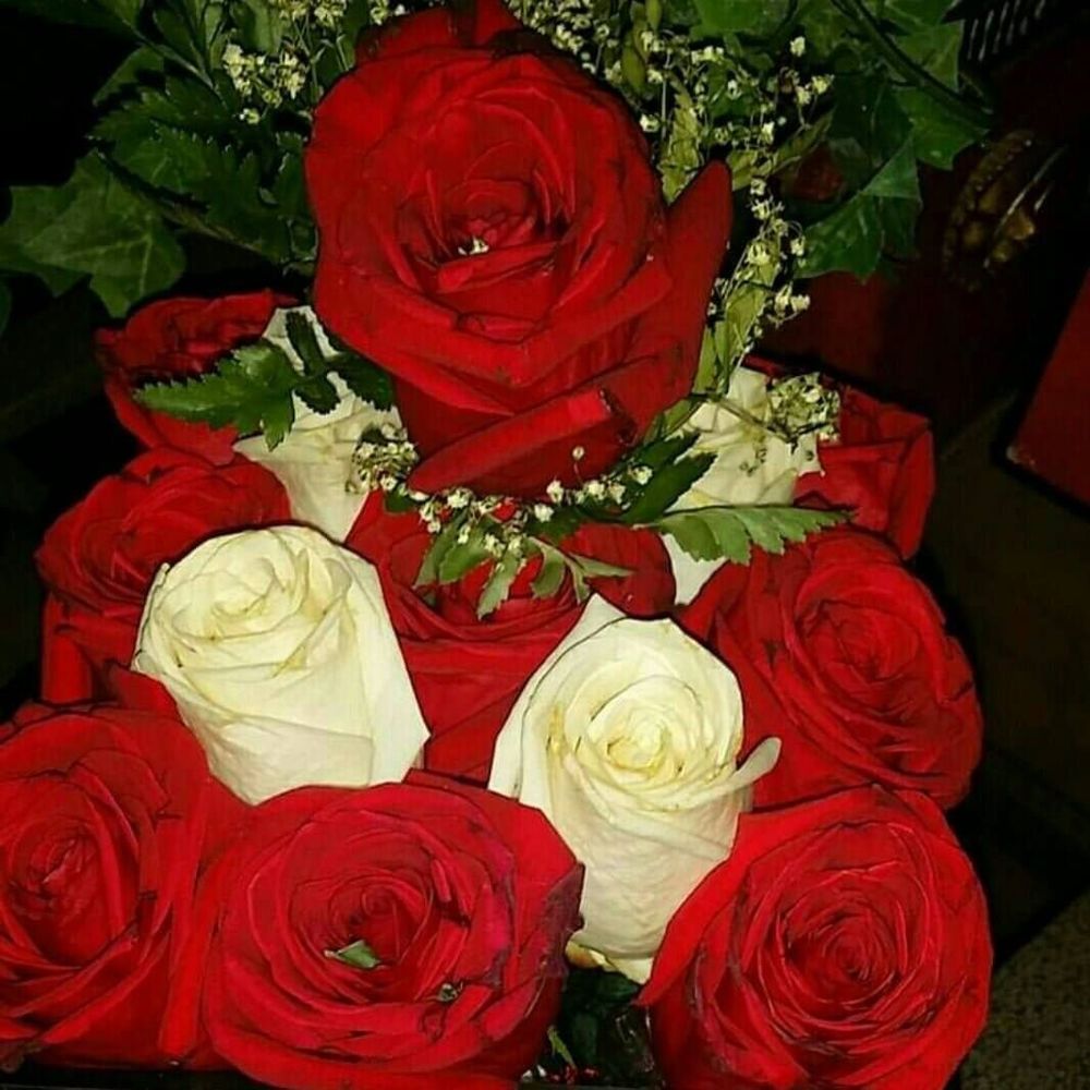 Meet your Posher, Mary